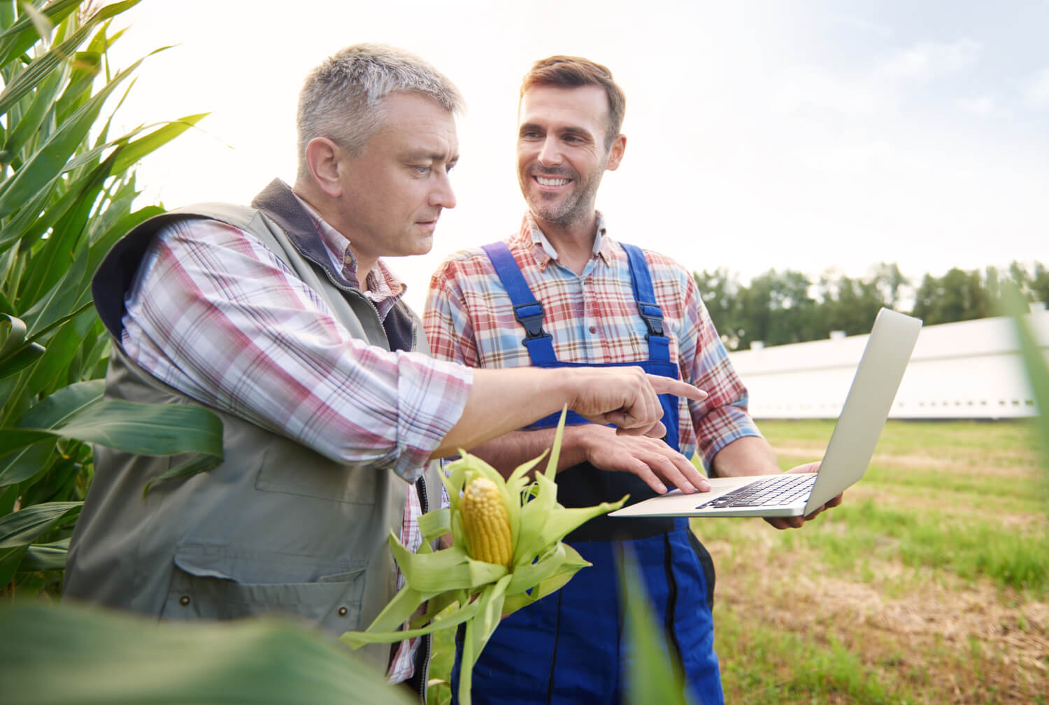 jeune-agriculteur-s-occupant-son-entreprise