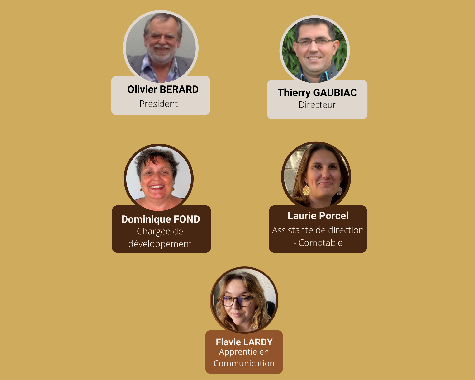 Organigramme site